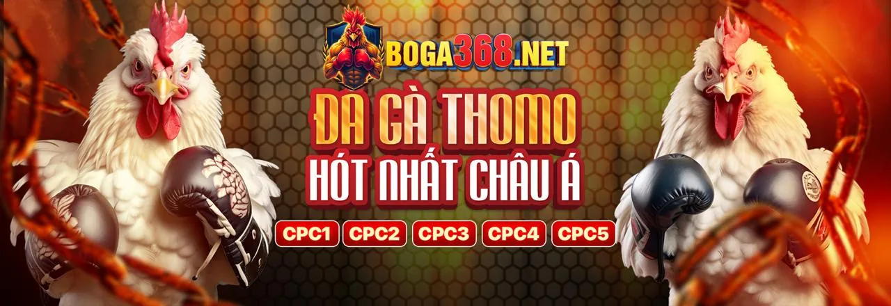 Đá gà trực tuyến New88