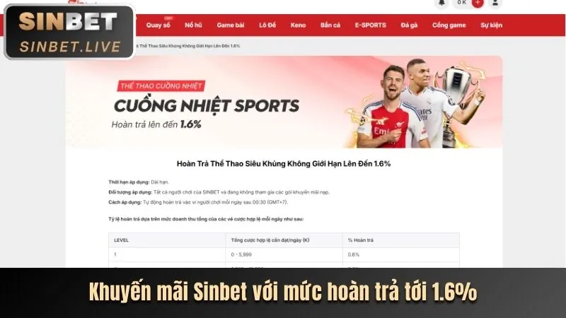 Cá cược thể thao trên New88